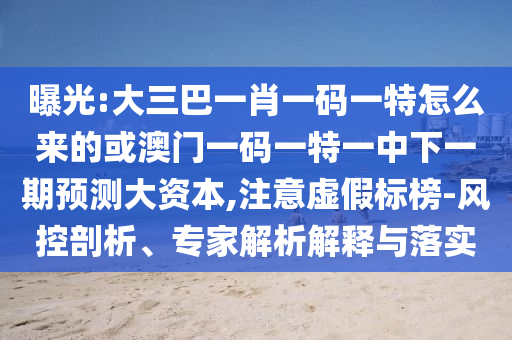 曝光:大三巴一肖一碼一特怎么來的或澳門一碼一特一中下一期預(yù)測大資本,注意虛假標榜-風控剖析、專家解析解釋與落實