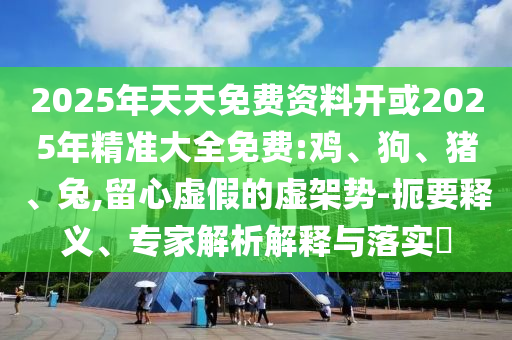 2025年天天免費資料開或2025年精準大全免費:雞