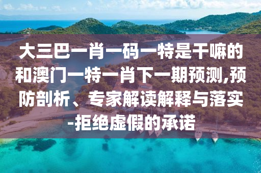 大三巴一肖一碼一特是干嘛的和澳門一特一肖下一期預(yù)測,預(yù)防剖析、專家解讀解釋與落實-拒絕虛假的承諾