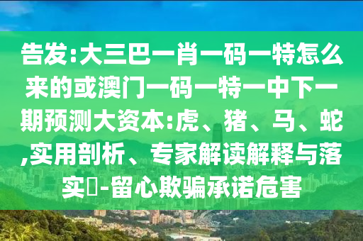告發(fā):大三巴一肖一碼一特怎么來的或澳門一碼一特一中下一期預測大資本:虎、豬、馬、蛇,實用剖析、專家解讀解釋與落實?-留心欺騙承諾危害